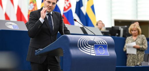 Europaparlament: Was die AfD mit ihrer neuen europäischen Stiftung plant